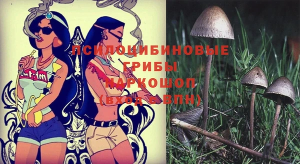 прущий лед Белоозёрский