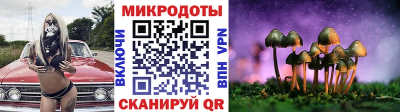 где можно купить наркотик  Шумиха  это наркотические препараты  Псилоцибиновые грибы мицелий 